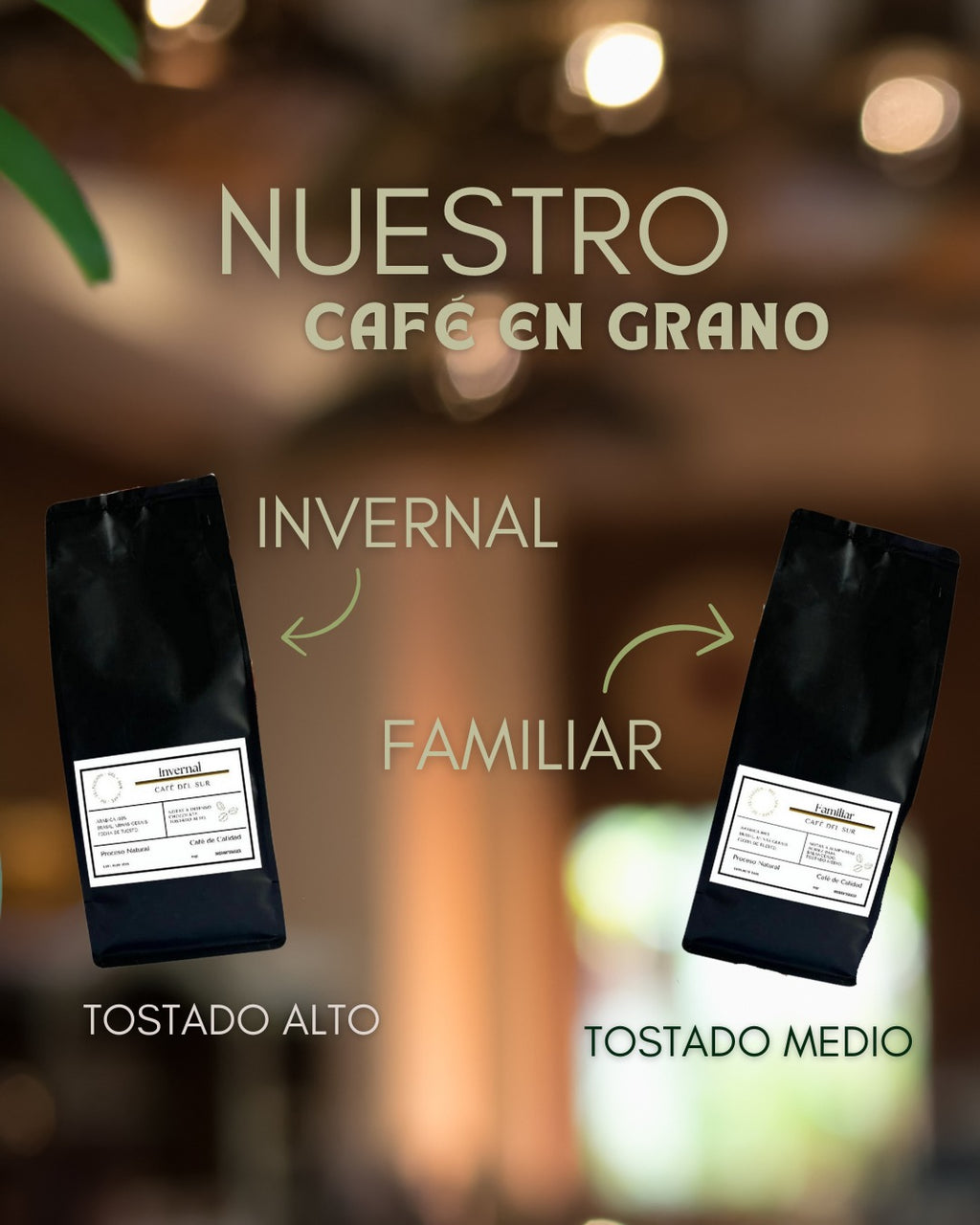Café en Grano 1 kilo