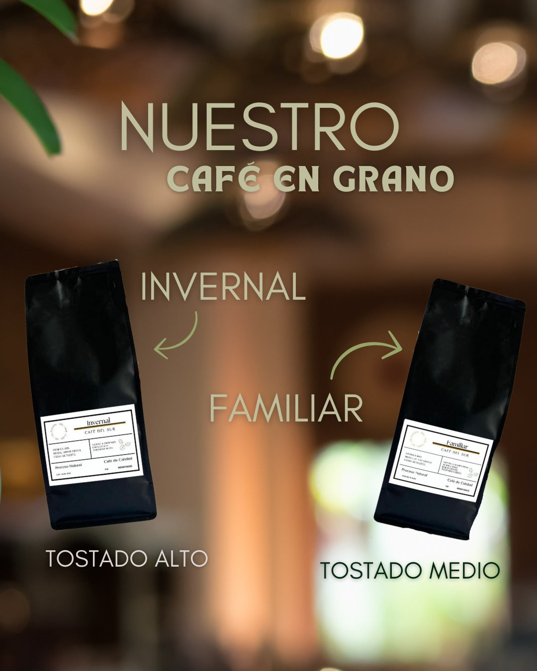 Café en Grano 1 kilo