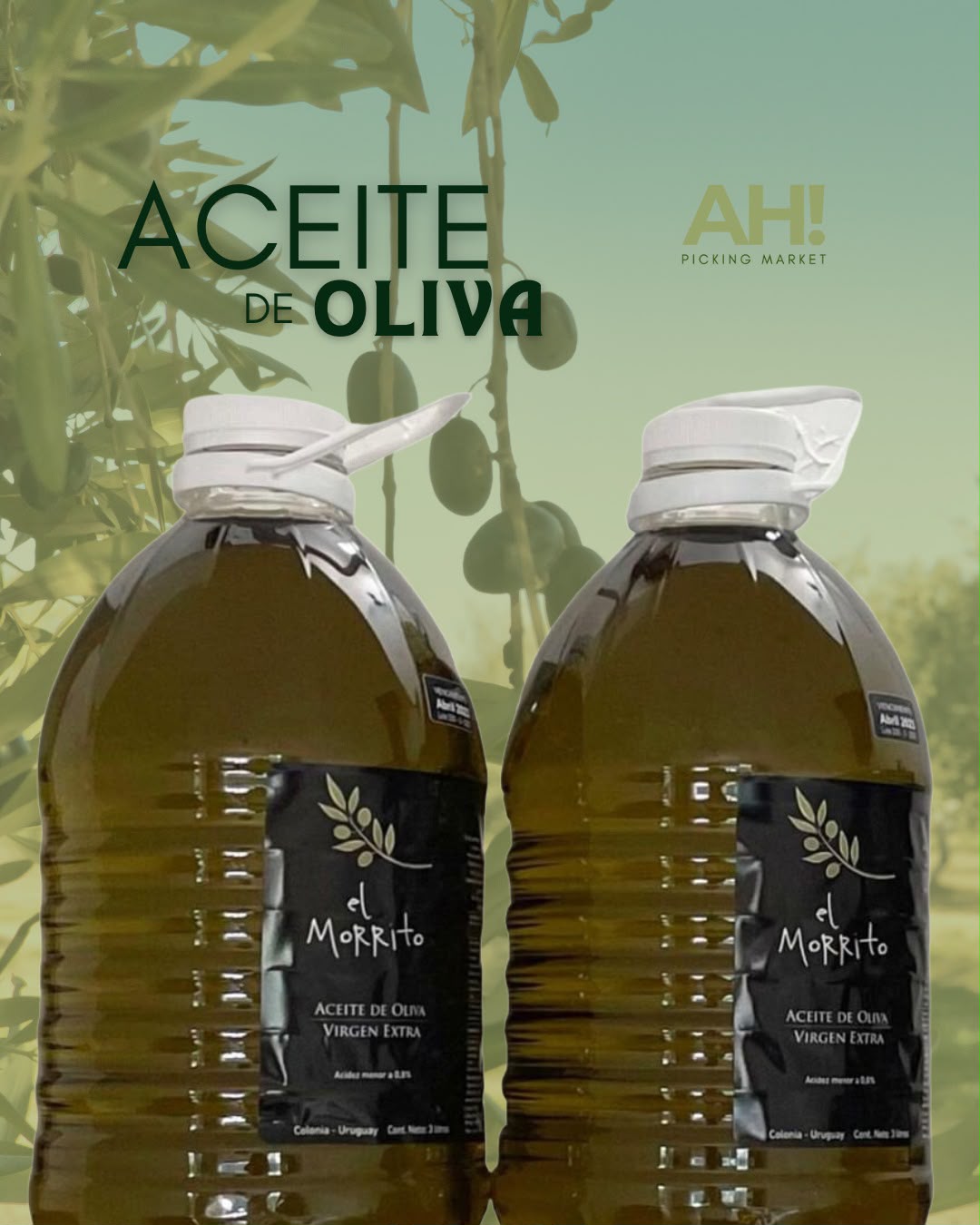Aceite de oliva Virgen Extra 6 L EL Morrito