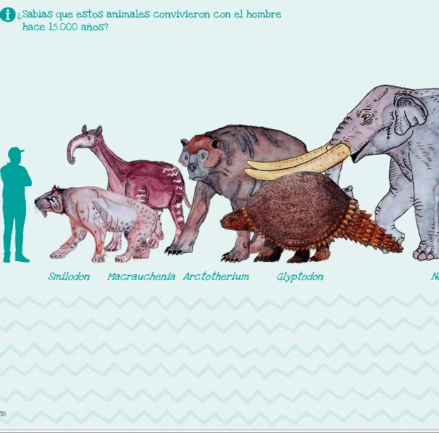 Libro Dinosaurios y Animales