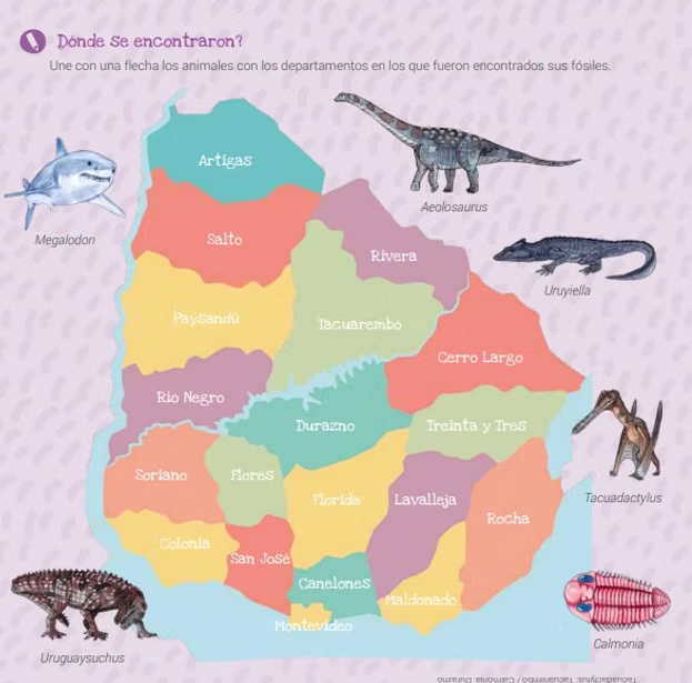 Libro Dinosaurios y Animales
