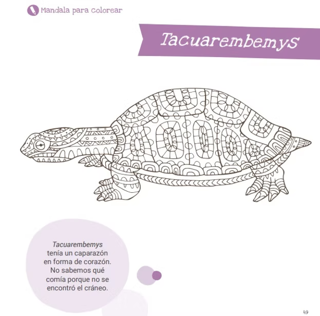 Libro Dinosaurios y Animales